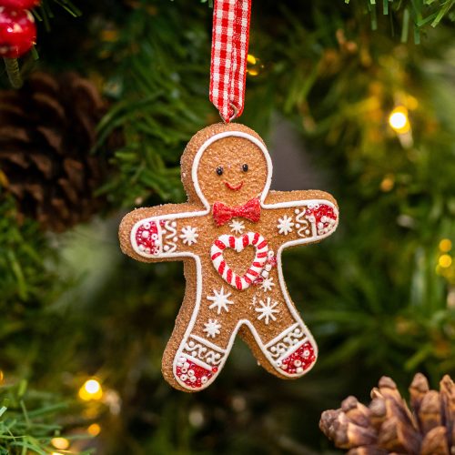 Assorted-gingerbread.