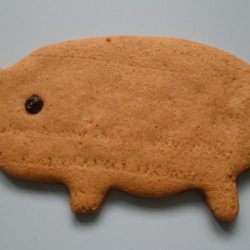 parkin-pig.jpg