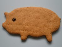parkin-pig.jpg